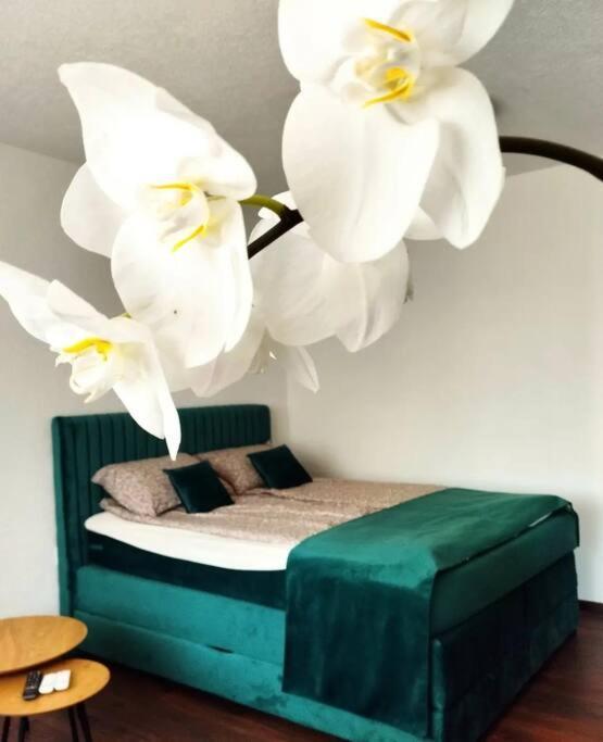 Zeid City Center Apartment Σαράγεβο Εξωτερικό φωτογραφία